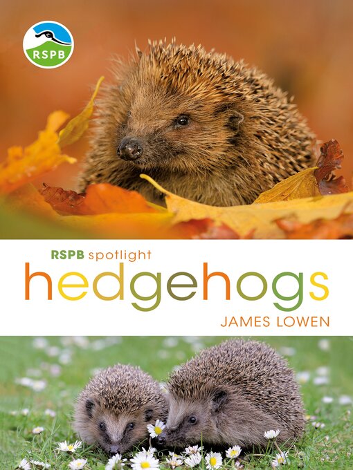 Title details for RSPB Spotlight Hedgehogs by James Lowen - Available